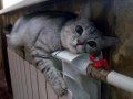 В Набережных Челнах стартовал отопительный сезон