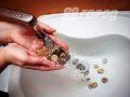 Мэрия Братска резко меняет тарифную политику
